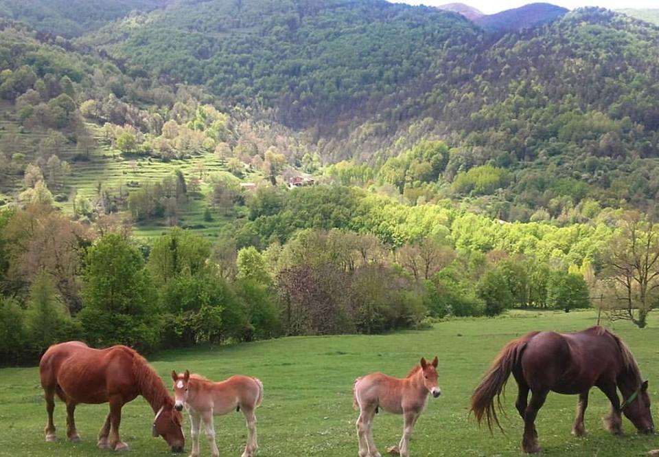 Mas Regort Hotel Vallfogona De Riucorb Luaran gambar