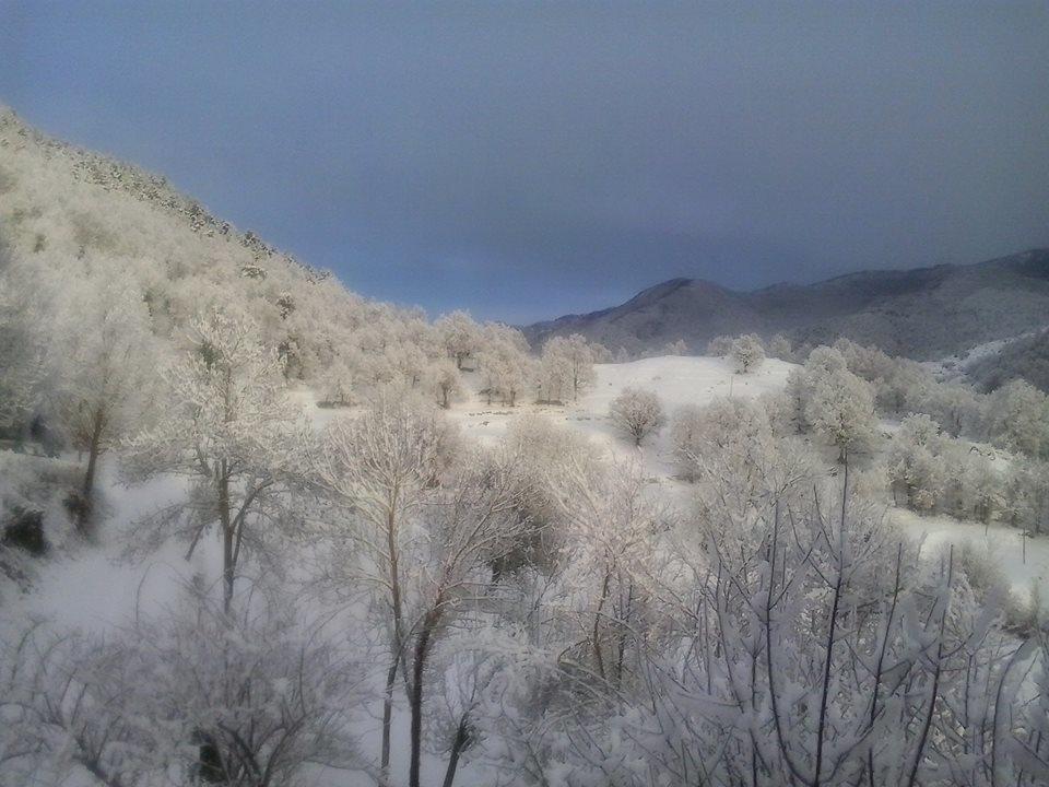 Mas Regort Hotel Vallfogona De Riucorb Luaran gambar